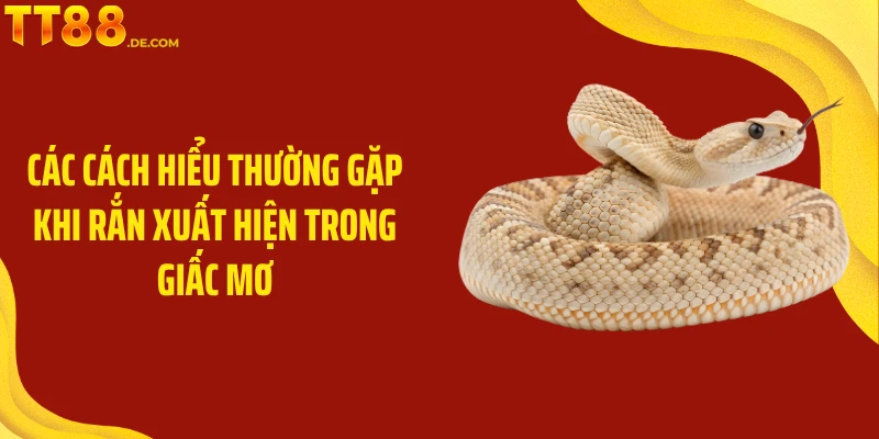Các cách hiểu thường gặp khi rắn xuất hiện trong giấc mơ
